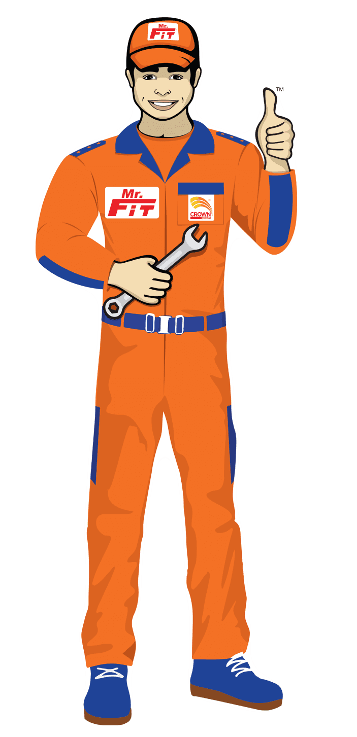 Mr Fit Character