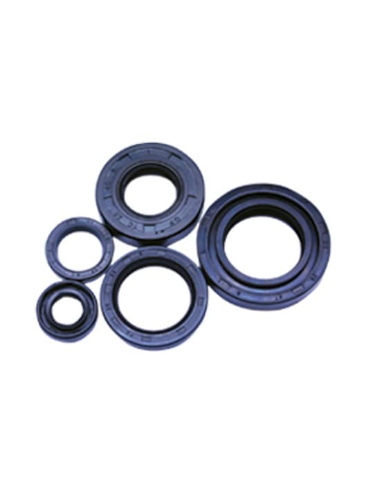 OIL SEAL KIT spare part by FIT Auto Parts