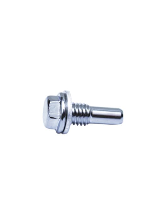 ROLLER BOLT (CROME) WITH WASHER spare part by FIT Auto Parts