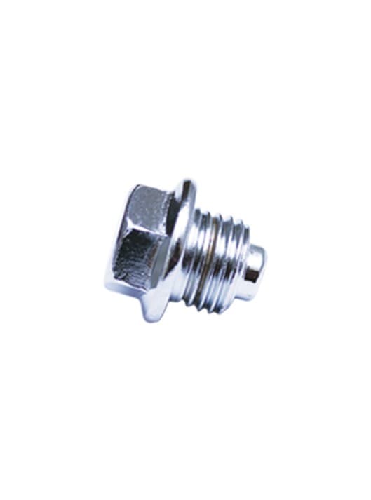 TIMING BOLT (CROME) spare part by FIT Auto Parts