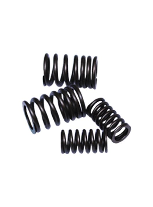 VALVE SPRING SET spare part by FIT Auto Parts