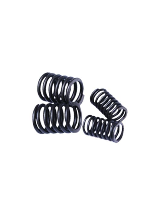 VALVE SPRING SET spare part by FIT Auto Parts