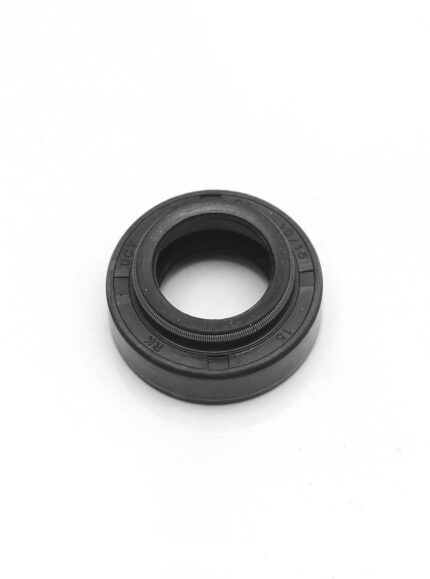 OIL SEAL S.S [20*34*10*15]