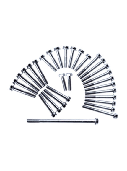 ENGINE BOLT KIT (CHROME)
