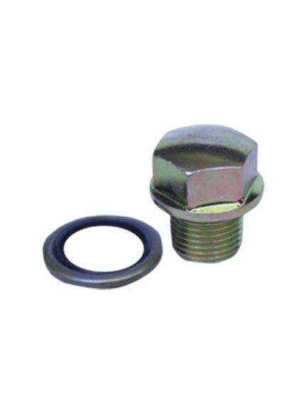 OIL BOLT W/WASHER