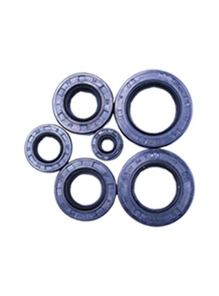 OIL SEAL KIT KICK START