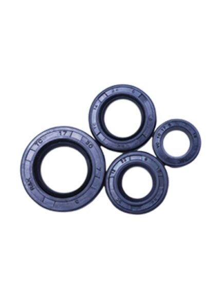 OIL SEAL KIT