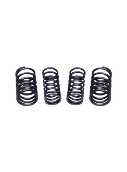 VALVE SPRING SET