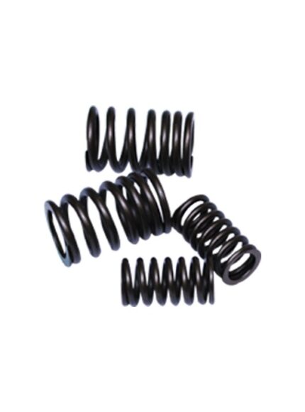 VALVE SPRING SET
